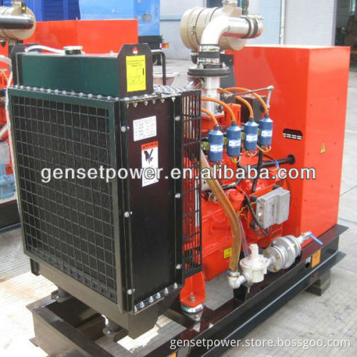 30kw Natural Gas Generator